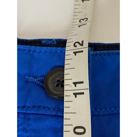 Boden Blue Daisy Cropped Center Leg Seam Chino Pant Women's Size 16 Regular - Picture 7 of 9